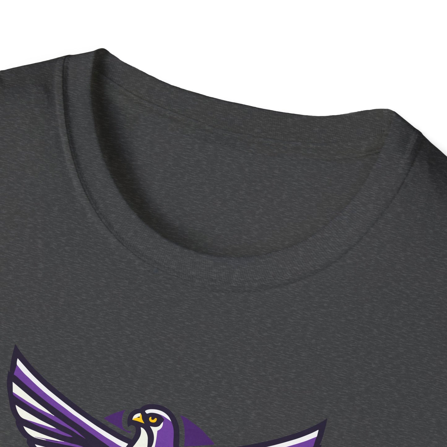 Football - Adult T-Shirt - Falcon Spreading Wings