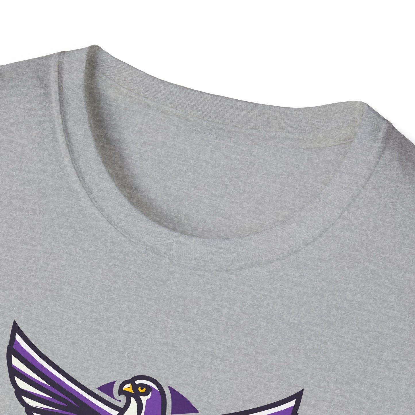 Football - Adult T-Shirt - Falcon Spreading Wings