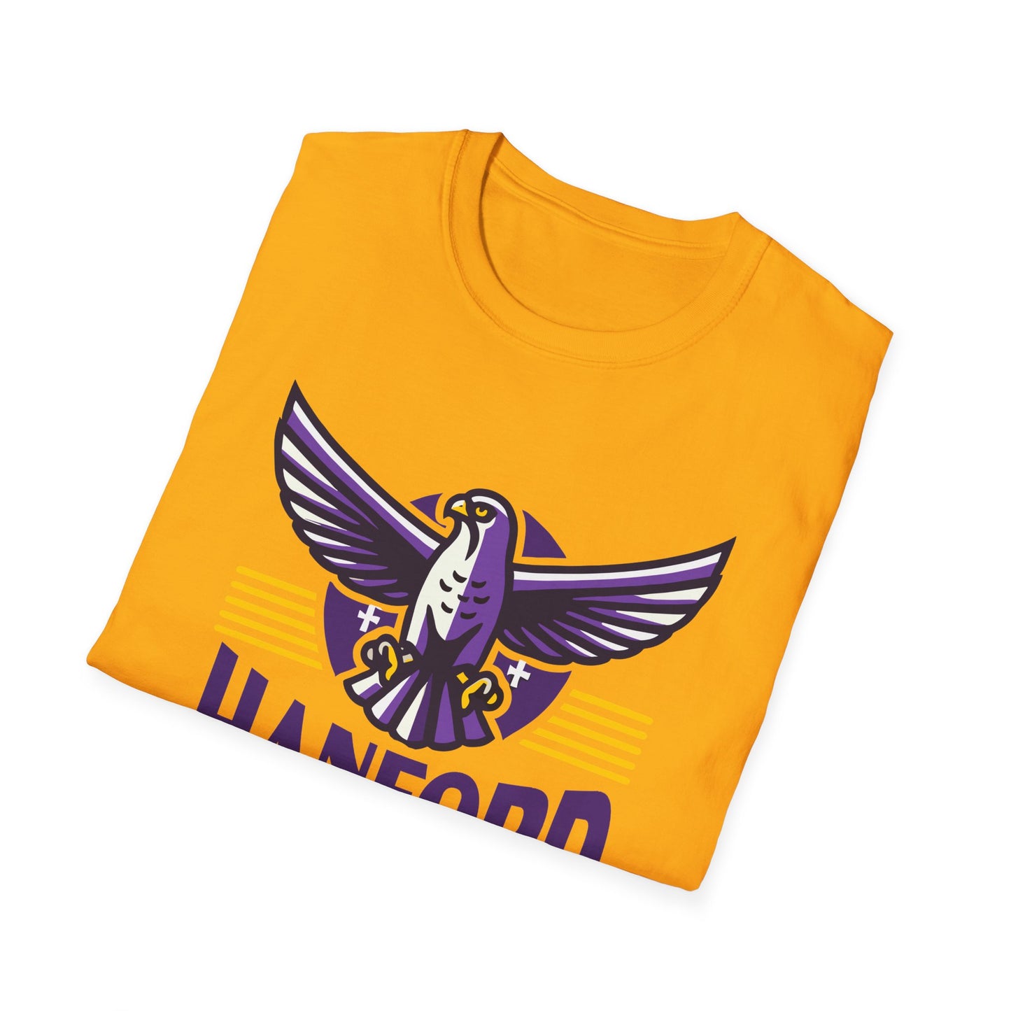 Football - Adult T-Shirt - Falcon Spreading Wings